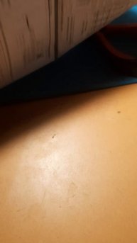 Тестер Bo Ai Zhi E-Bike Tester 24V 36V 48V 60V 72V