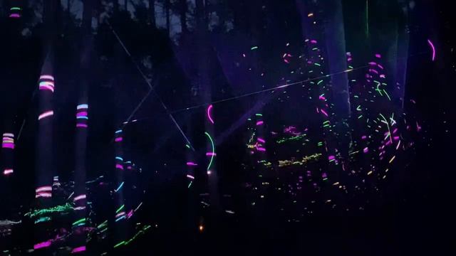 1-3.08.2025 парадигма (сергиев посад) paradigma russian hitech festival