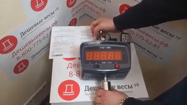 Весы крановые Смартвес ВЭК 1000
