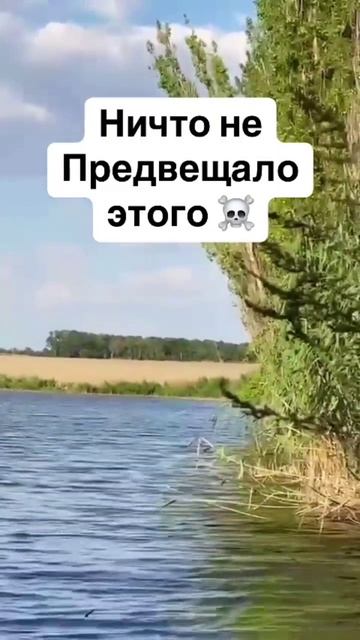 Спустили 🤣