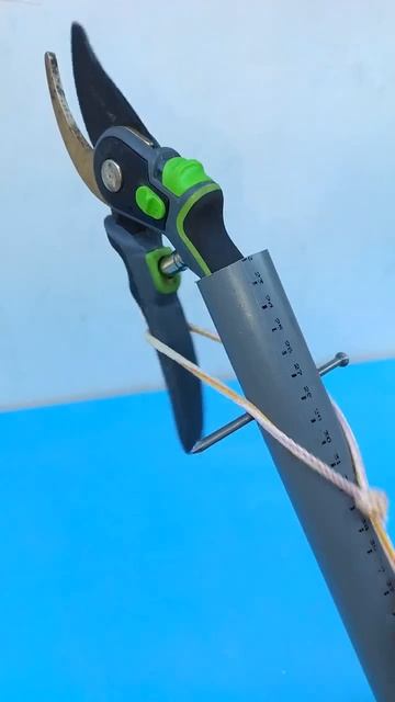 Как обрезать верхние ветки у дерева