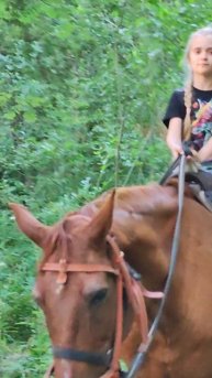 Скачу на коне.