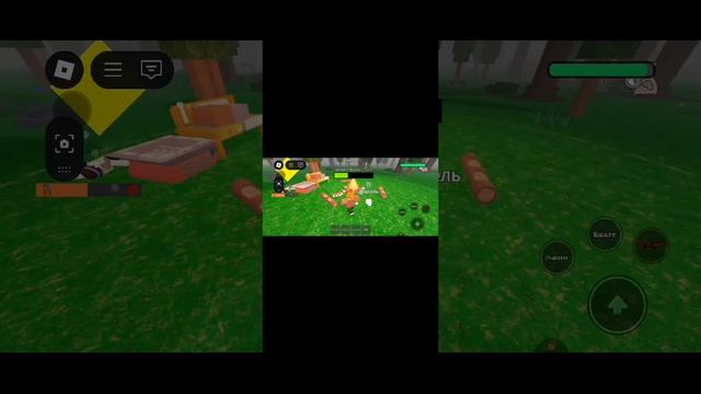 1000020768.mp4