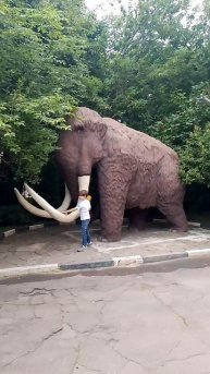 Дарвиновский музей, Москва 24.06.2025