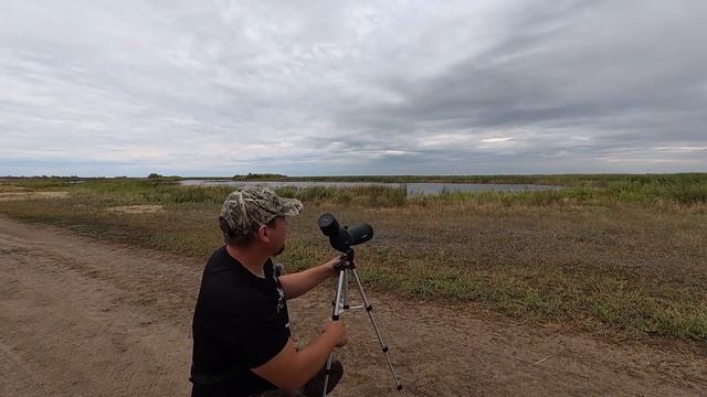 Svbony SC002: Wi-Fi камера что умеет за свои деньги?