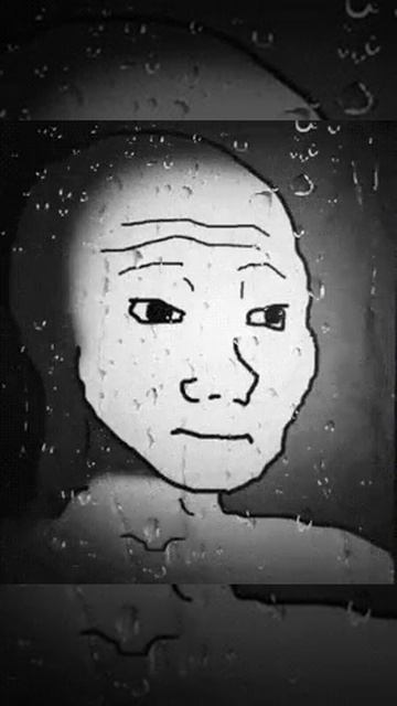 когда у тебя кот стащил телефон