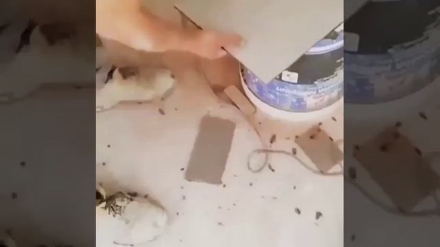 Укладка кафеля своими руками, секреты!