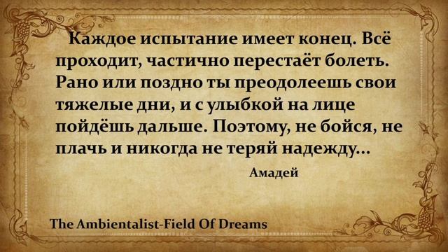 The Ambientalist - Field Of Dreams (2)