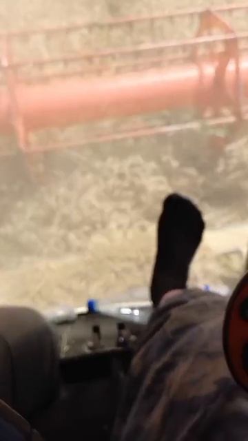 VID-20250712-WA0021.mp4