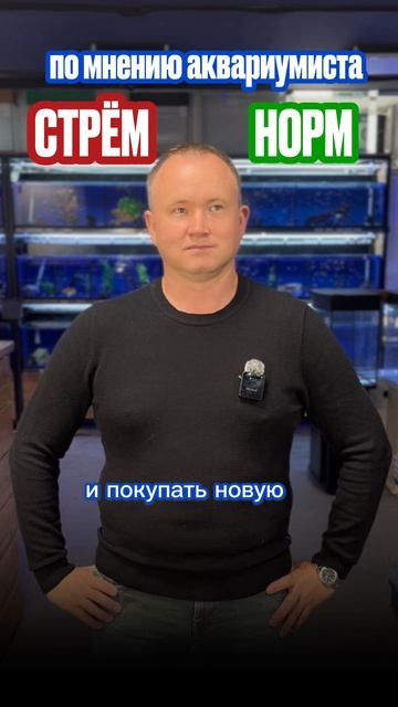 НОРМ ИЛИ СТРЁМ?!