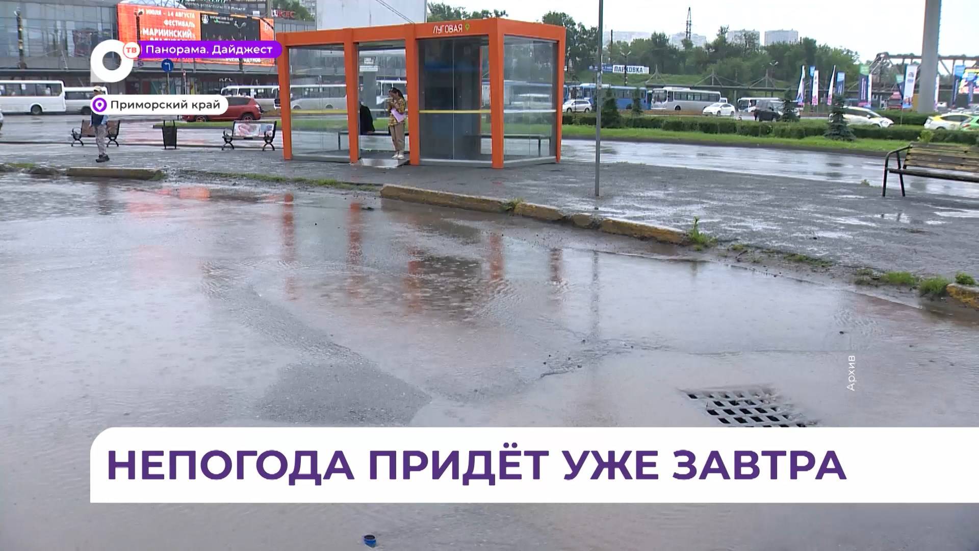 Сильные дожди и грозы ударят по Приморью уже через несколько часов