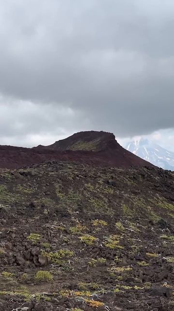 #камчатка #вулканы #природа #fishing #vlog #youtuber #instagram #nature #world