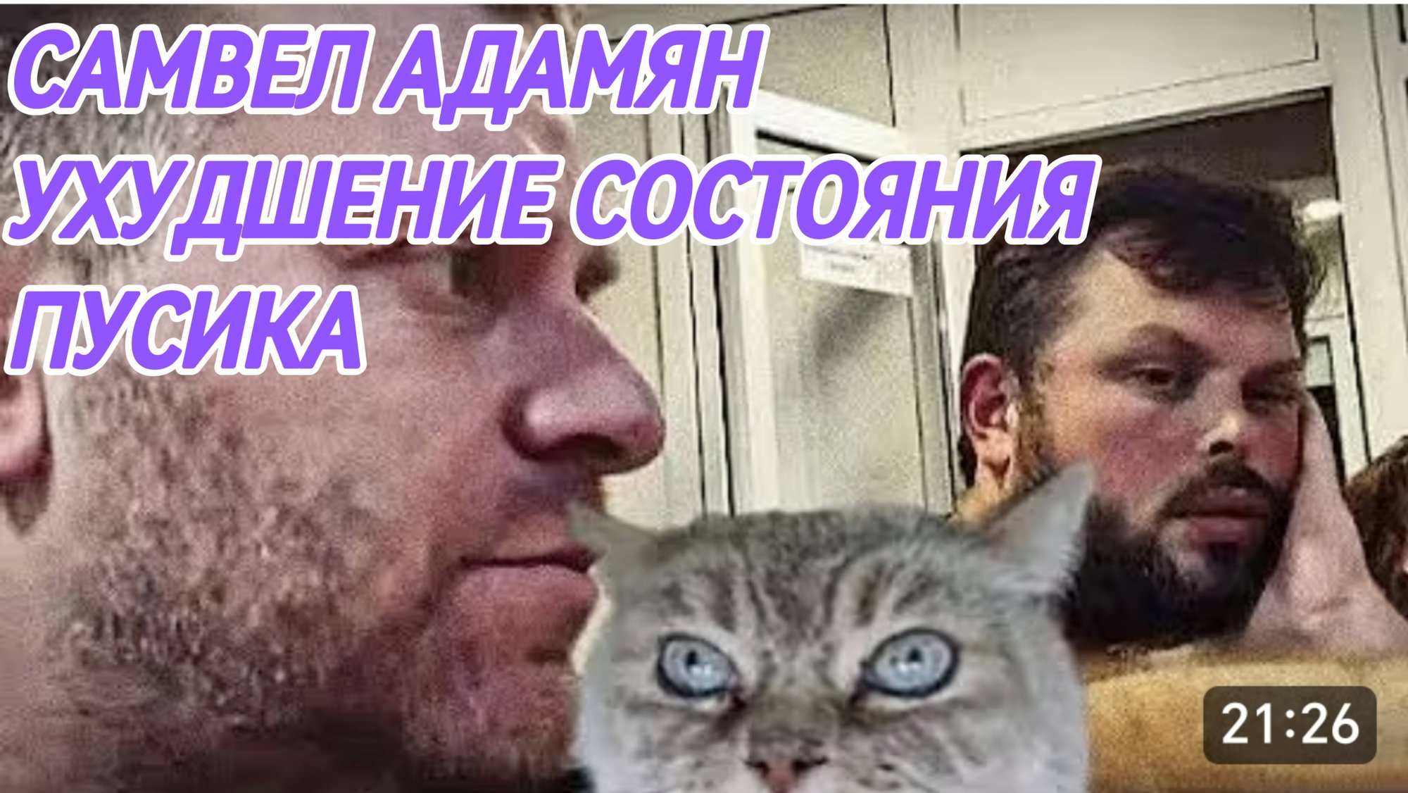 САМВЕЛ АДАМЯН, УХУДШЕНИЕ СОСТОЯНИЯ ПУСИКА, ДОЛГО ЖДАТЬ АНАЛИЗЫ..