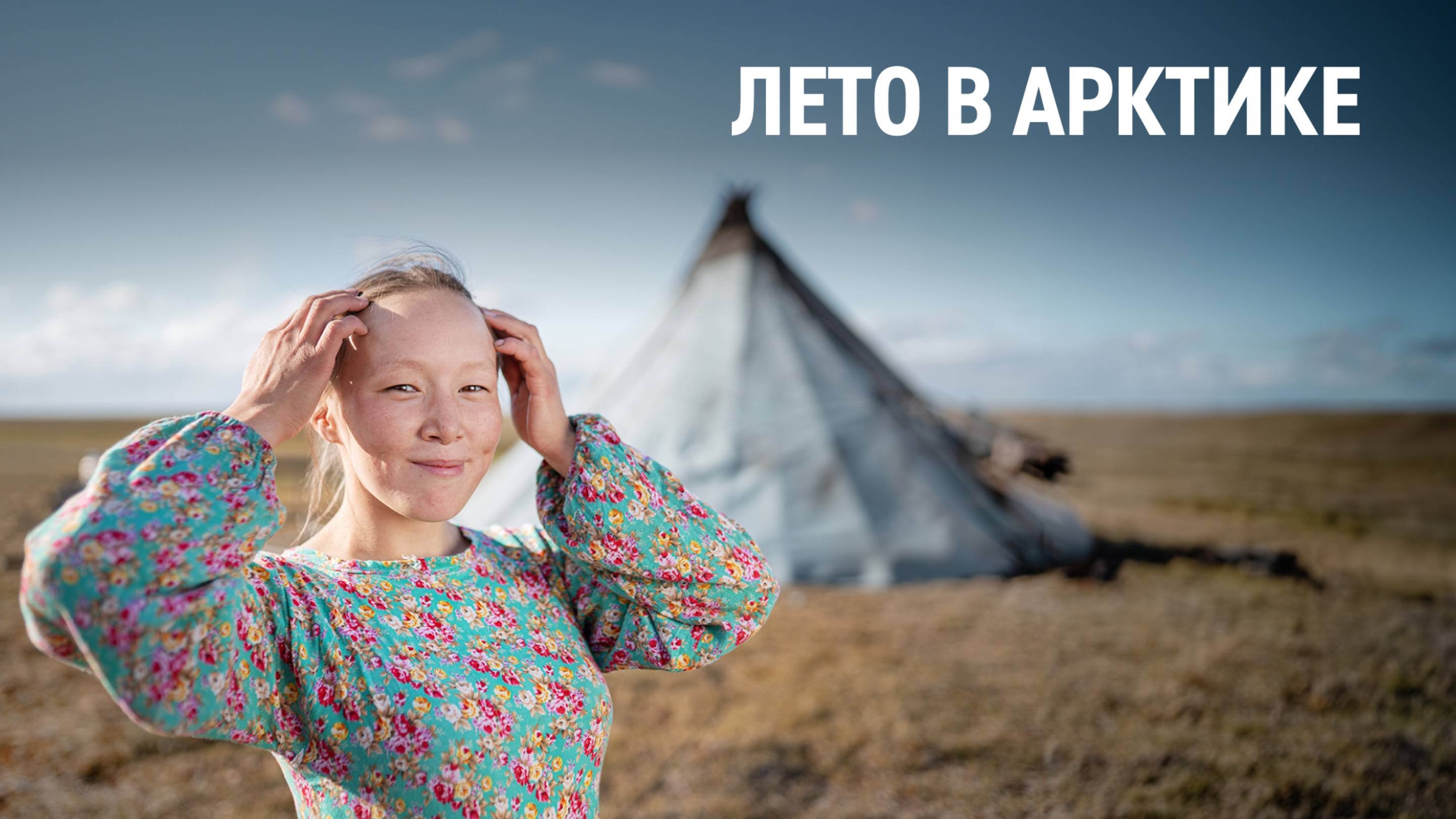 Лето в Арктике