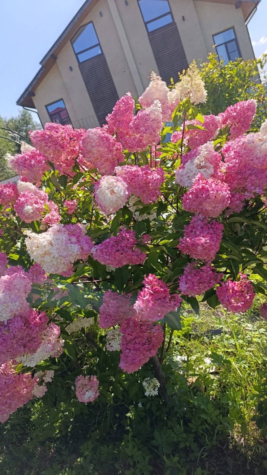 Скалы на садовом участке в Подмосковье. Скалка