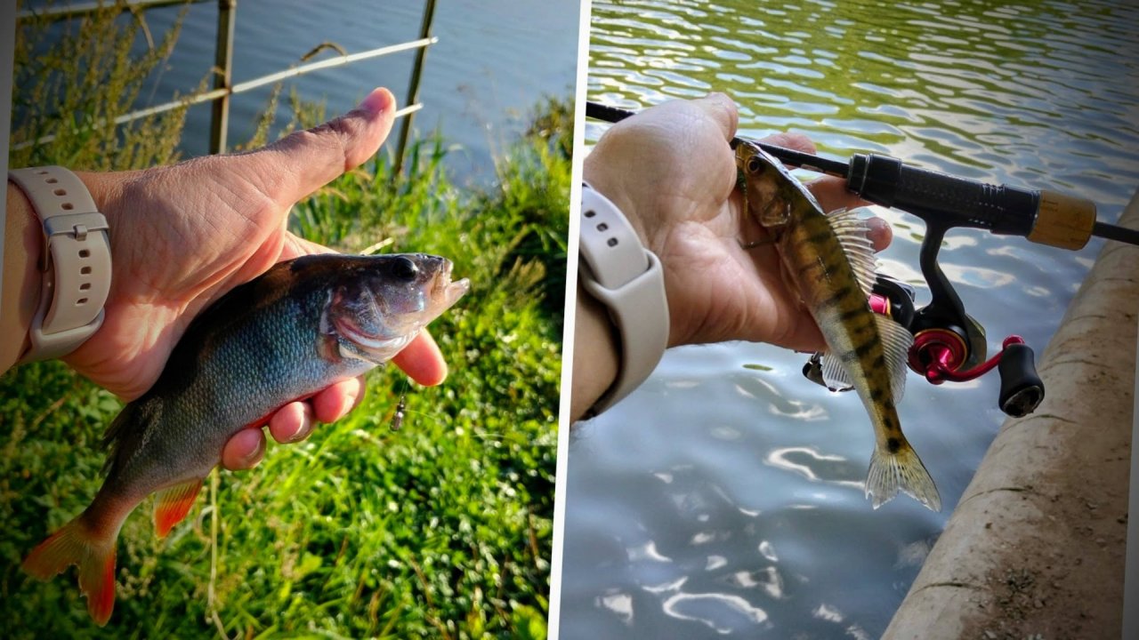 Барики , микруха на Титане