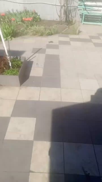 всех с Пасхой Христос воскрес