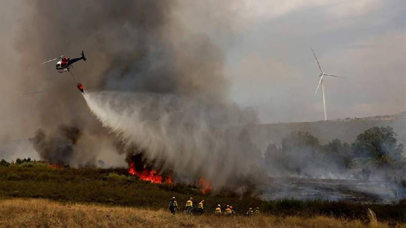 В Испании десятки человек пострадали из-за лесных пожаров