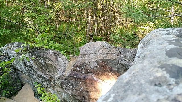 Нашёл разрушенный мегалитический дольмен в Архипо-Осиповке на Чёрном море