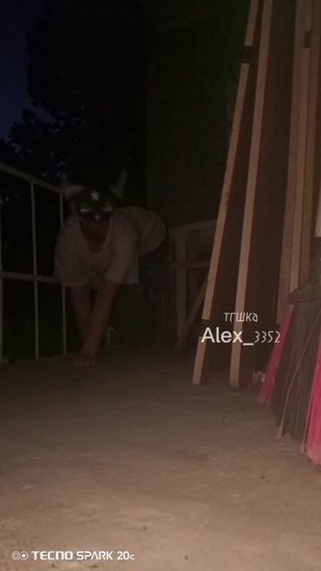 #Кошка #весна #TeamWork #Красиво #Красота #рек #квадробика #ЛюблюLikee #лето #маска #волк #животные