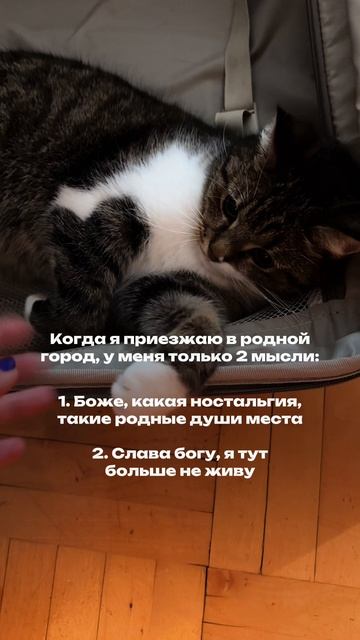 Две мысли, имеющие место быть… одновременно 😅