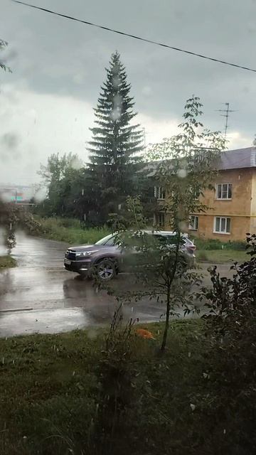 Летний дождь #лето #август #дождь