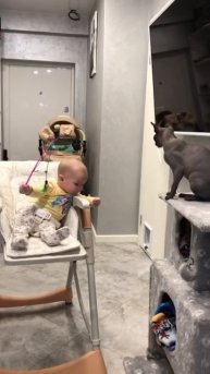 #кошки #сфинксы #дети #прикол #vlog #youtuber