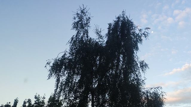 сегодня 13 августа 🌞 облачно прохладно и местами могут быть осадки...