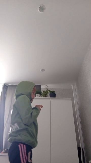 новости про дикие огурцы