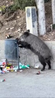 В поисках чего-то вкусного😁