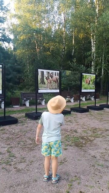 Путешествие по Босоногой тропе, Лосиный остров, Москва 25.07.2025