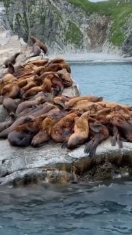 #рыбалка #камчатка #отдых #отпуск