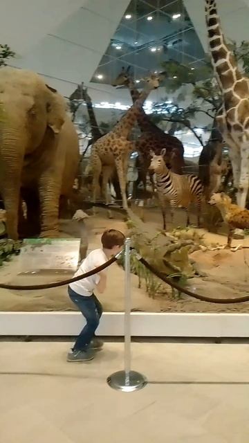 Дарвиновский музей, Москва 24.06.2025