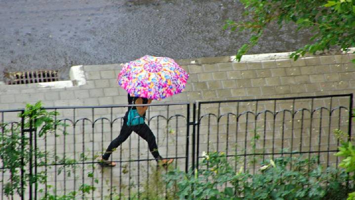 В Поволжье и Предуралье 14 августа ожидаются интенсивные ливни
