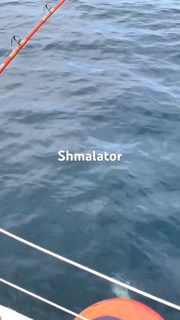 #камчатка #рыбалка #охота #vlog #youtuber