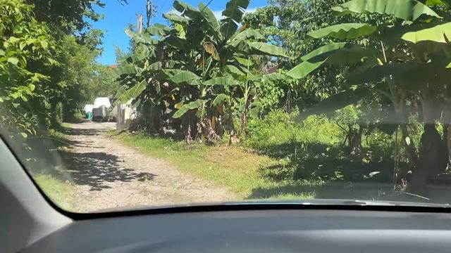 Треш Резорт За 100$ Ночь / Строим Дом на Филиппинах / Отели Думагете / Munting Paraiso