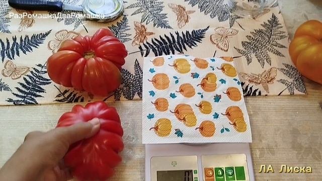 05.08.2025 уДача-дача.ТОМАТЫ 