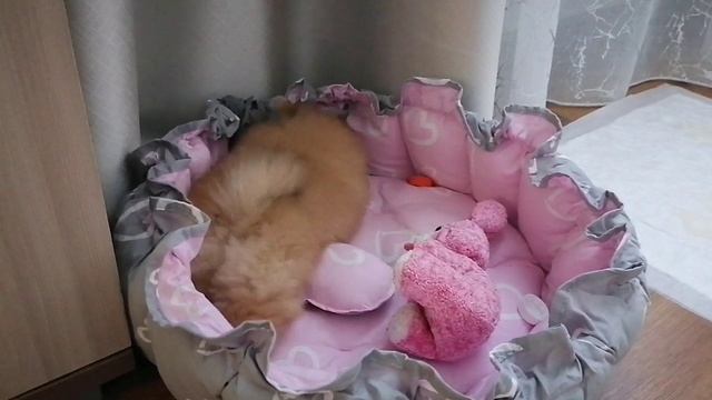 Малышка Мышка всегда найдёт с чем поиграться!)))