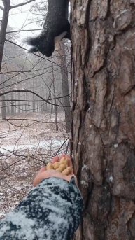 Это видео в моём вк, где мы с семьёй отдыхали в Бузули в г. Свободном 😁🙃👍 #бузули #природа4к #животн