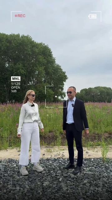Сохраним или вырубим