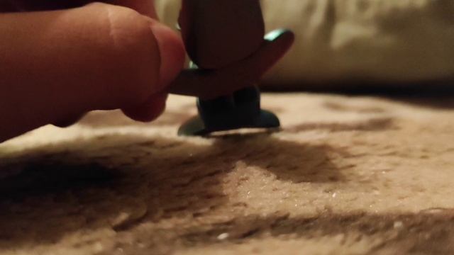 капибара тёма