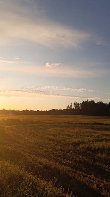 Утро в Бушарино.mp4