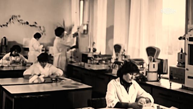 Первичный бульон Опарина