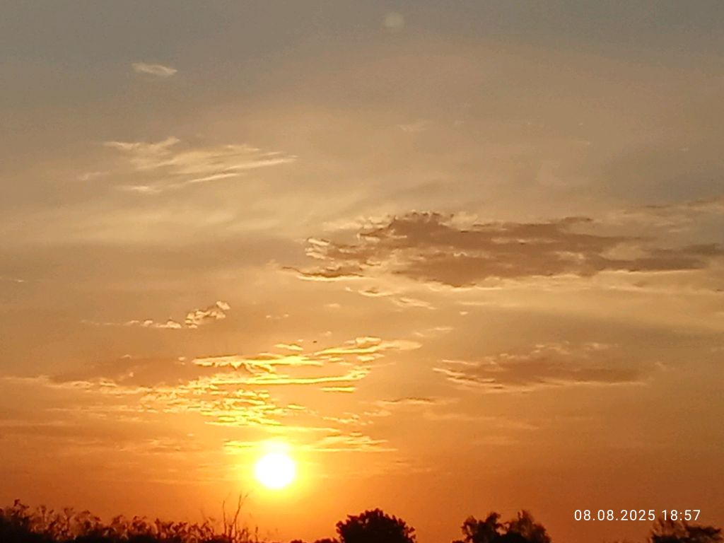 лучшие зайки 🩷🩷🩷🩷