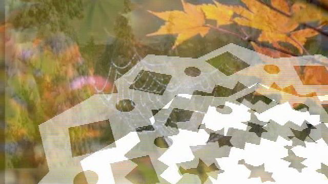 50 времена года