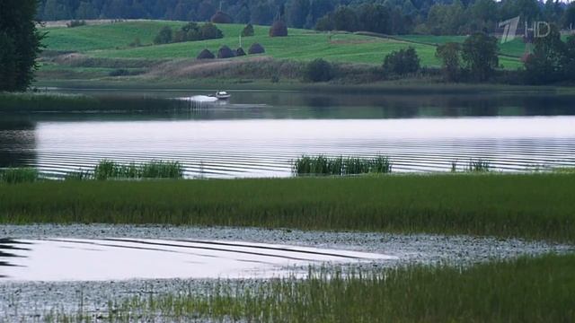 Под Мамино крыло