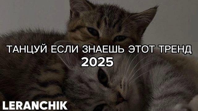 ТАНЦУЙ ЕСЛИ ЗНАЕШЬ ЭТОТ ТРЕНД
2025 🔥