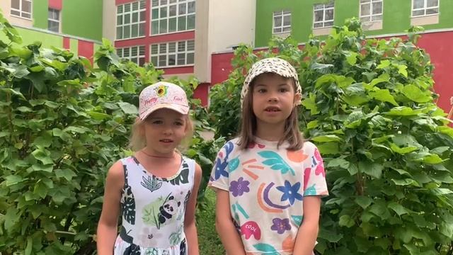 "День смородины"