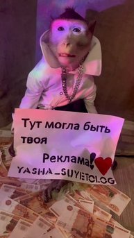 YASHA_SUYETOLOG