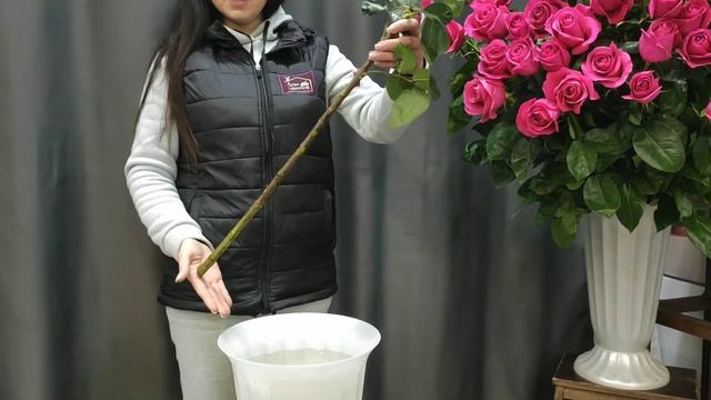 Видео обзор на розы сорта "Пинк Флойд" 100 см.